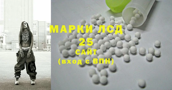 СК Алексин