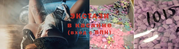 СК Алексин