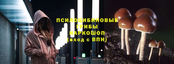 каннабис Алзамай