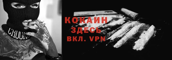 СК Алексин