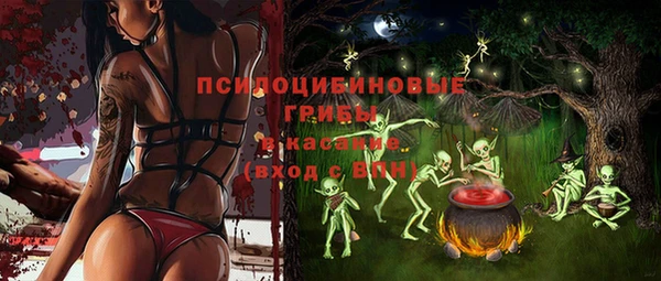 СК Алексин