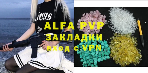 СК Алексин