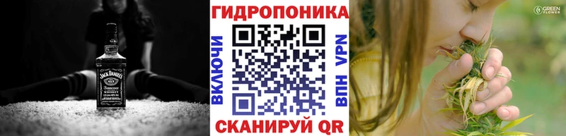 Шишки марихуана Bruce Banner Куровское